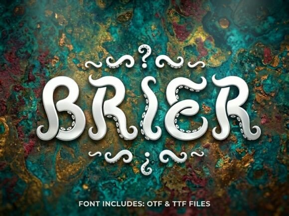 Brier: A Display Font That Commands Attention